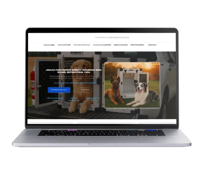 robust europe 4 1 1 1